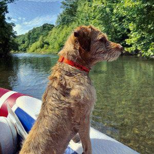 Meet your Posher, Martin